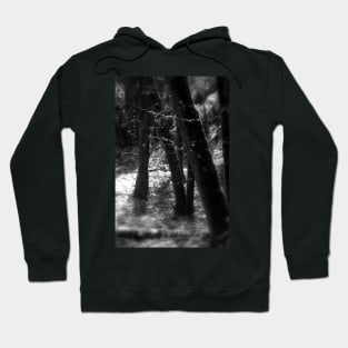 snowy Oregon forest 8 Hoodie